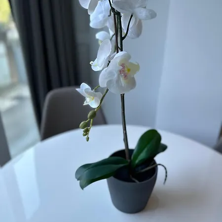 Apartmán N&g New Stoja *